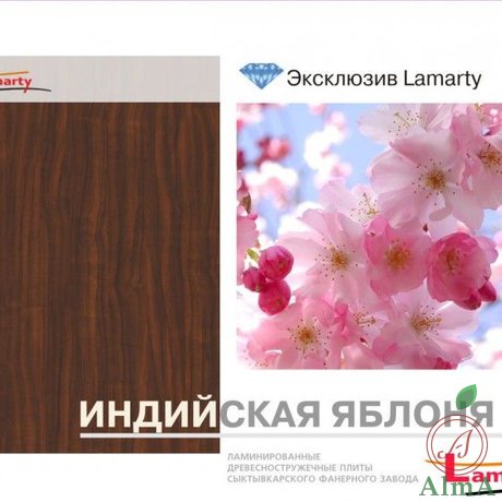 Lamarty008
